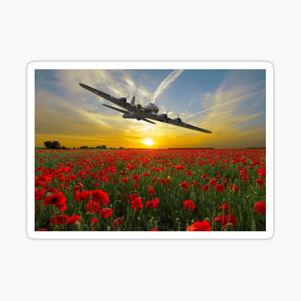 Lest we Forget Sticker