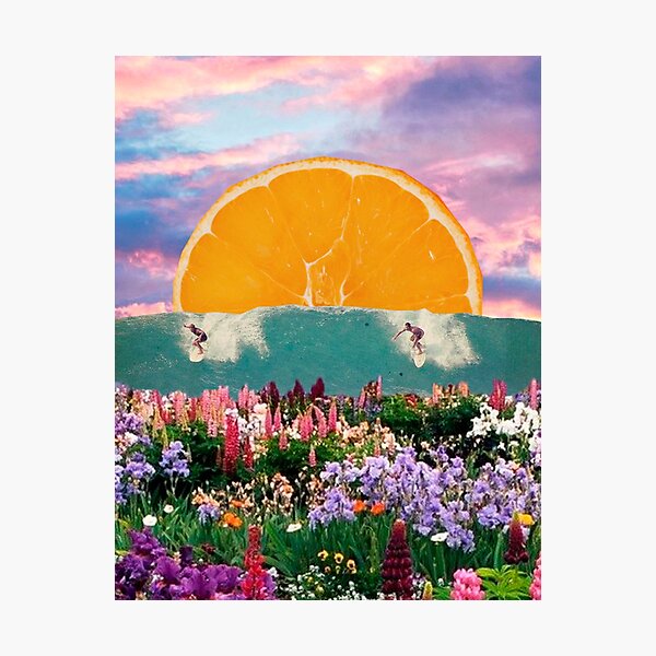 surfing wild flowers Photographic Print