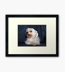 DREW Framed Print