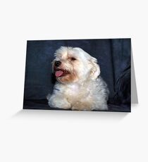 DREW Greeting Card