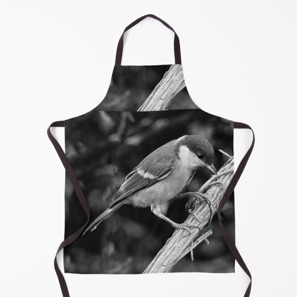 Item preview, r1087 New Finition 2021 -- Oiseau " Mésange Charbonnière Attentif ! en N&B " 2014 (c)(t) Olavia-Olao Okaio Créations designed and sold by o.okaïo.