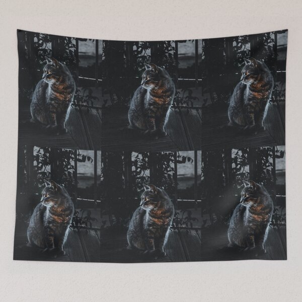 Item preview, House Cat in the Dark of the Night designed and sold by Maeki54.