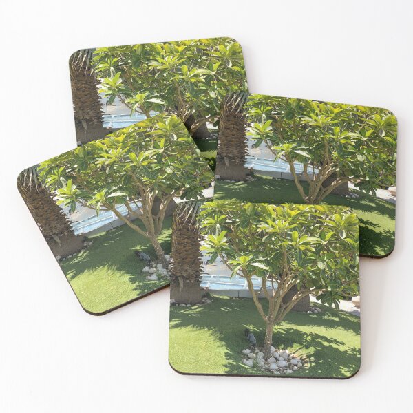 Item preview, photo Palm tree around its fountain  designed and sold by Infinite Feeling Shop.