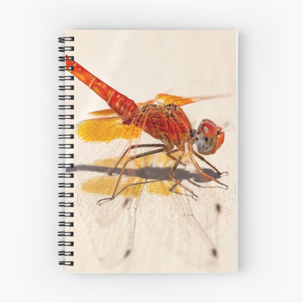 Item preview, Red Dragonfly 02 designed and sold by Weston  Westmoreland.