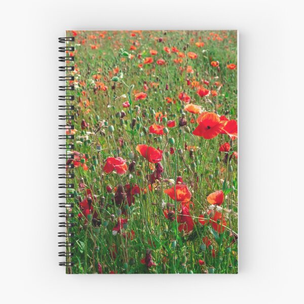 Item preview, Photo series poppies, triptych "Much too detail" designed and sold by zandrea-images.