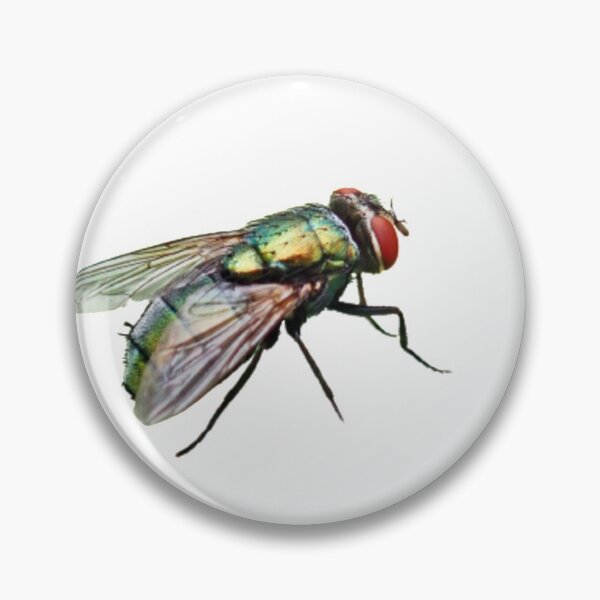 Item preview, Housefly designed and sold by Rumiart7.