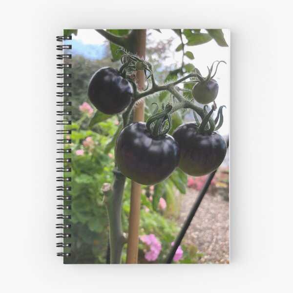 Item preview, Black tomatoes  designed and sold by elaine-gregers.