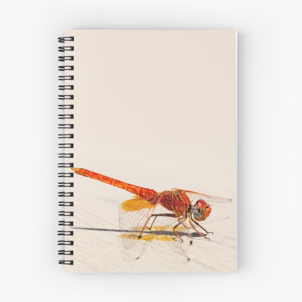 Item preview, Red Dragonfly 04 designed and sold by Weston  Westmoreland.