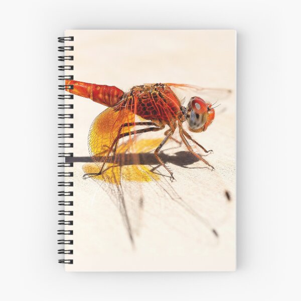 Item preview, Red Dragonfly 03 designed and sold by Weston  Westmoreland.