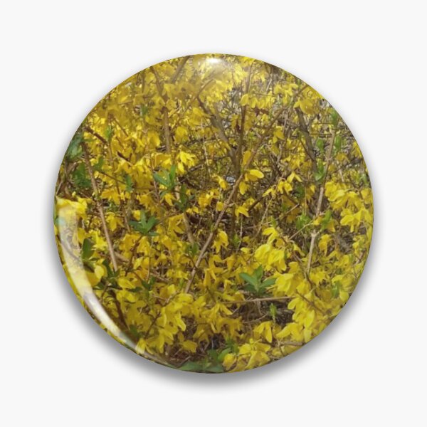 Item preview, Forsythia in the mountains. designed and sold by fosterahope.