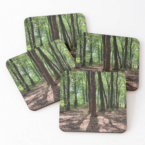 Item preview, Beacon Hill Woods designed and sold by JonDelorme.