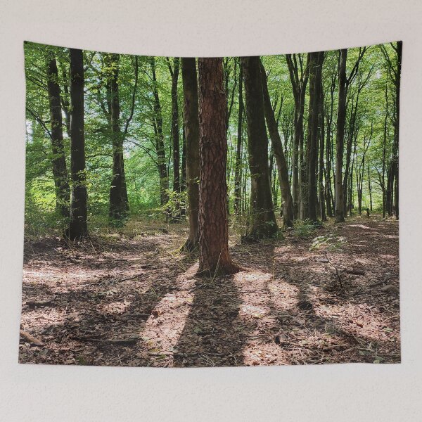 Item preview, Beacon Hill Woods designed and sold by JonDelorme.