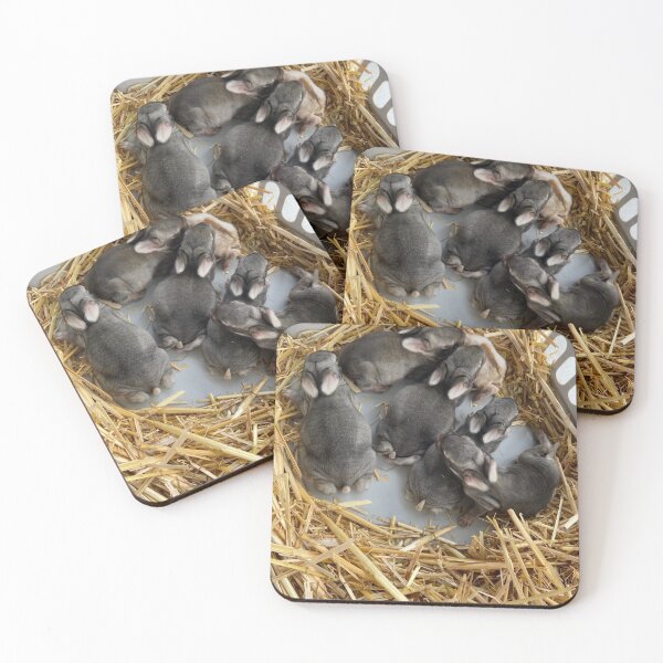 Item preview, Baby bunnies  designed and sold by NurseLifestat.