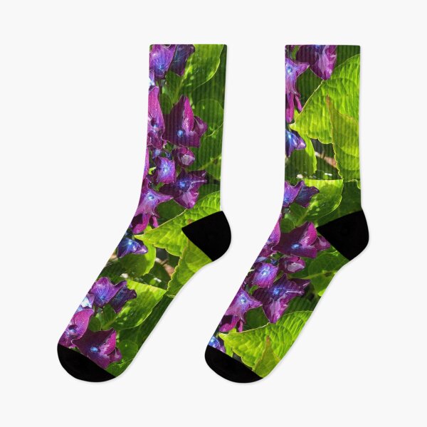 Item preview, Purple hortensia  designed and sold by elaine-gregers.