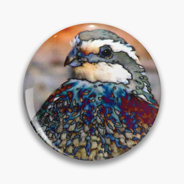 Item preview, 17. What Should I Do? designed and sold by Jean Gregory Evans.