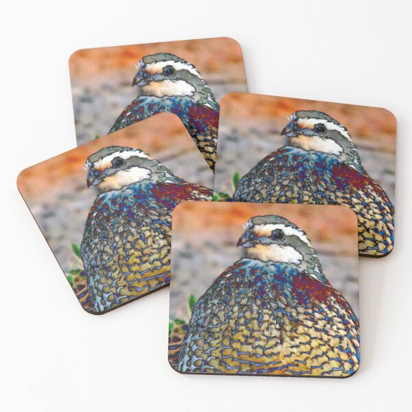 Item preview, 17. What Should I Do? designed and sold by Jean Gregory Evans.
