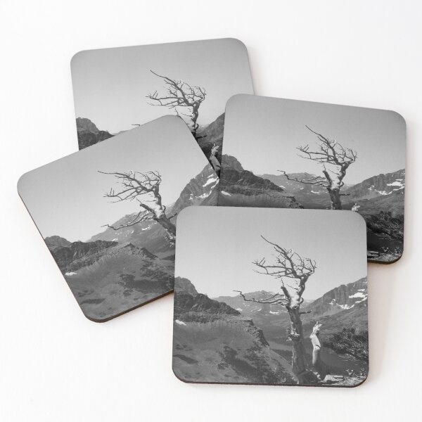 Item preview, Glacier National Park Deadwood Tree designed and sold by ztrnorge.