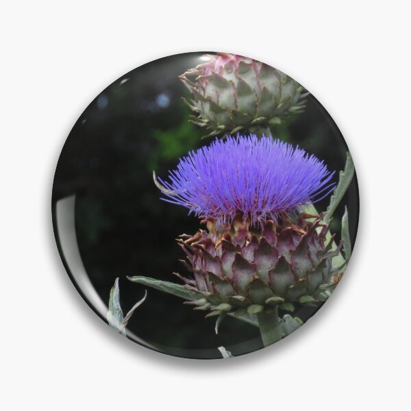 Item preview, Cynara Cardunculus ( Cardoon ) designed and sold by wiggyofipswich.