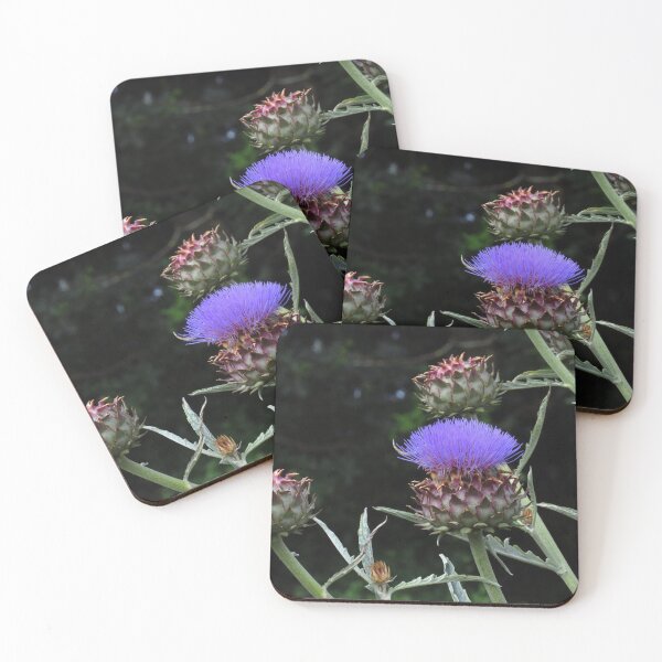 Item preview, Cynara Cardunculus ( Cardoon ) designed and sold by wiggyofipswich.