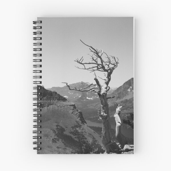 Item preview, Glacier National Park Deadwood Tree designed and sold by ztrnorge.
