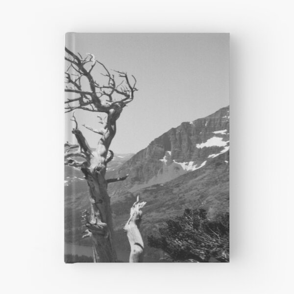 Item preview, Glacier National Park Deadwood Tree designed and sold by ztrnorge.