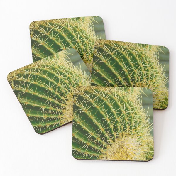 Item preview, Barrel Cactus designed and sold by JBWritesAZ.