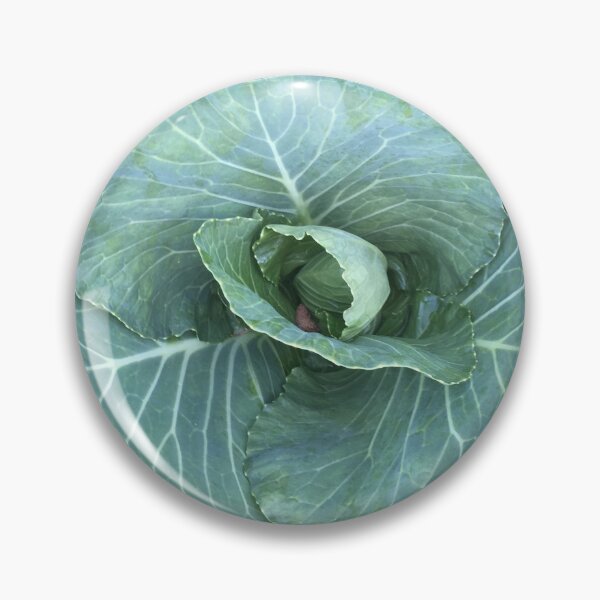 Item preview, Cabbage designed and sold by Rino1013.