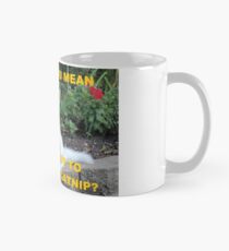 Boo the Deaf Kitty - Catnip Mug