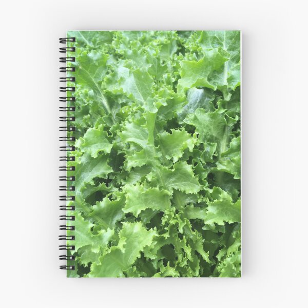 Aperçu de l'œuvre Salade créée et vendue par Rino1013.
