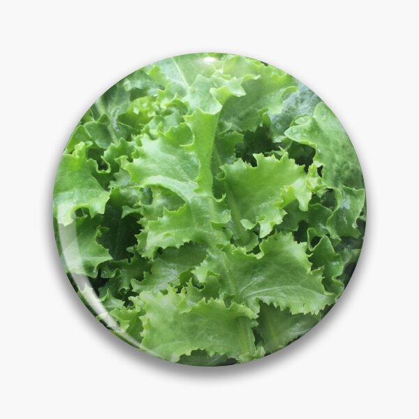Aperçu de l'œuvre Salade créée et vendue par Rino1013.