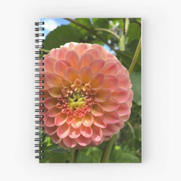 Item preview, Peach flower  designed and sold by elaine-gregers.
