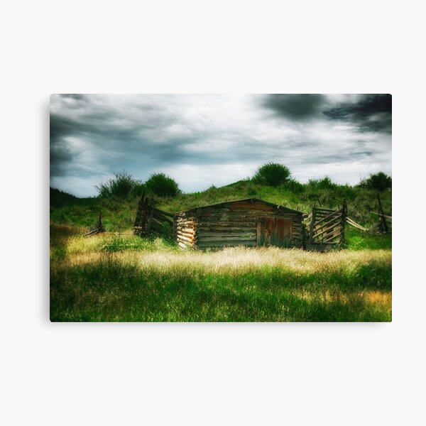 above it all Canvas Print
