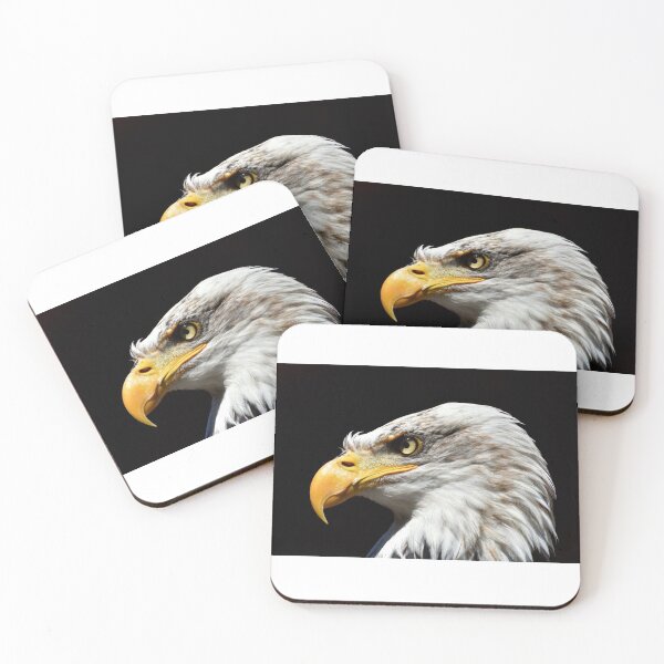 Item preview, Eagle full focus designed and sold by CreativeFrog.
