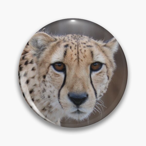 Item preview, Cheetah designed and sold by BarbaraWilliams.