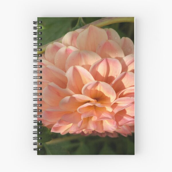 Item preview, Peach coloured pedals designed and sold by elaine-gregers.