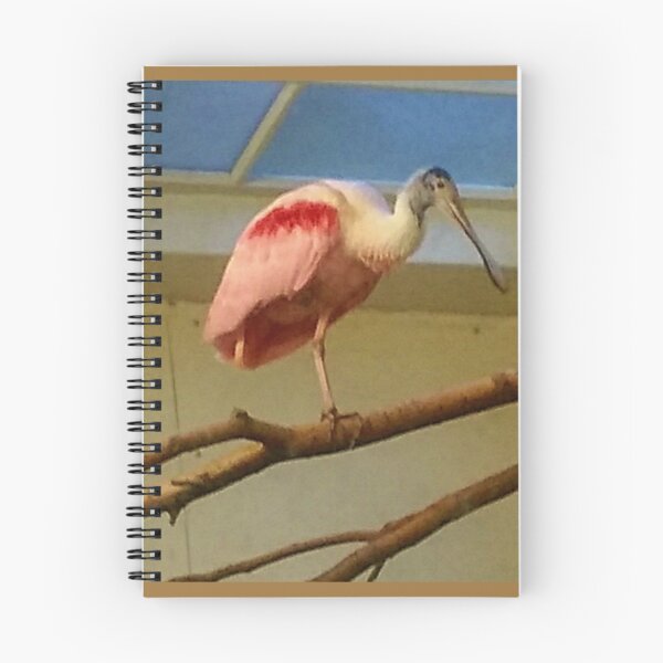 Item preview, A Roseate Spoonbill designed and sold by Jane Neill-Hancock.