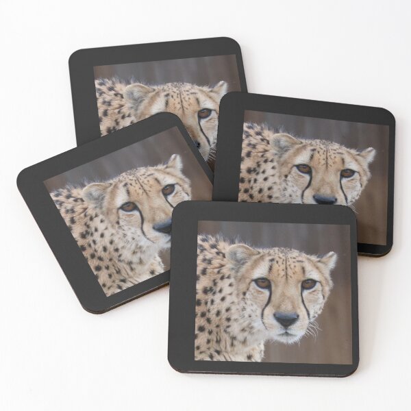 Item preview, Cheetah designed and sold by BarbaraWilliams.