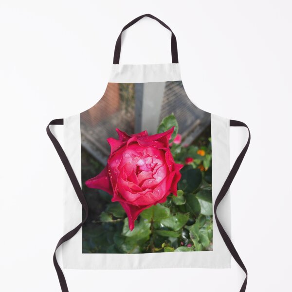 Artikelvorschau, Red rose entworfen und verkauft von elaine-gregers.