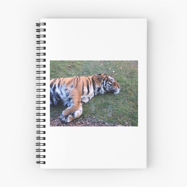 Item preview, Sleeping Tiger designed and sold by trevorp.