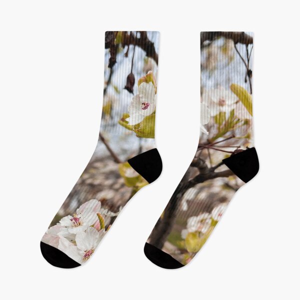 Item preview, Cherry Blossom Tree and Flowers in the Spring designed and sold by AlexandraStr.