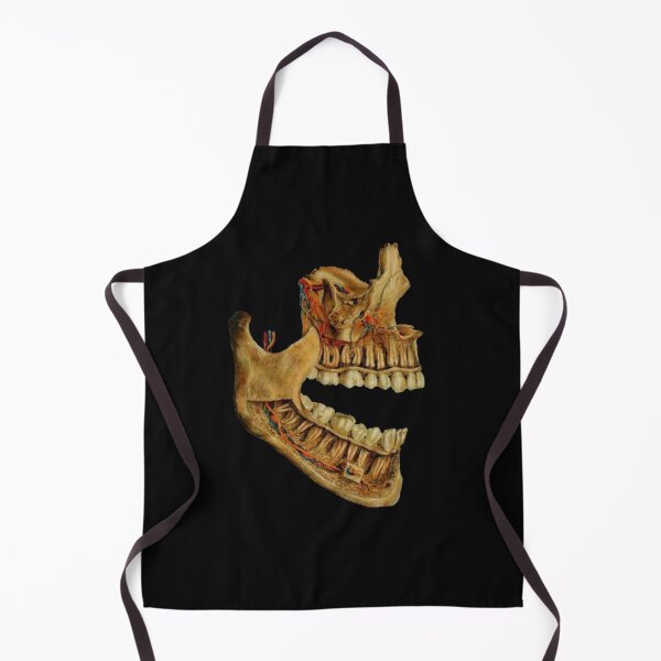 Item preview, Dental anatomy designed and sold by guaka-molly.