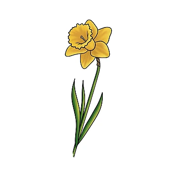 Artwork thumbnail, Daffodil by Reeseworks