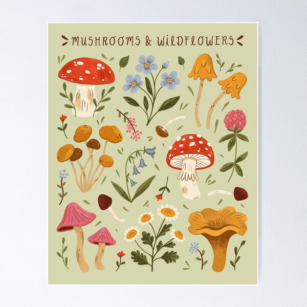 Sticker mural enfant Champignon, marguerites, escargot et papillon