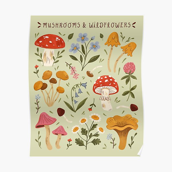 Mushrooms and Wildflowers Poster