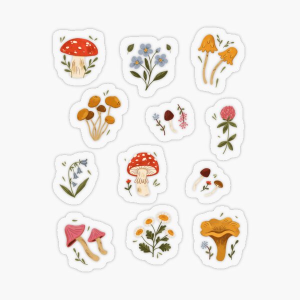 Floral Transparent Stickers for Sale