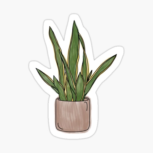 Item preview, Watercolor snake plant designed and sold by laurhog.
