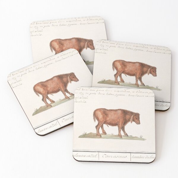 Item preview, Brazilian cow, Bos taurus (1596–1610) by Anselmus Boëtius de Boodt. designed and sold by FindYouByZ.
