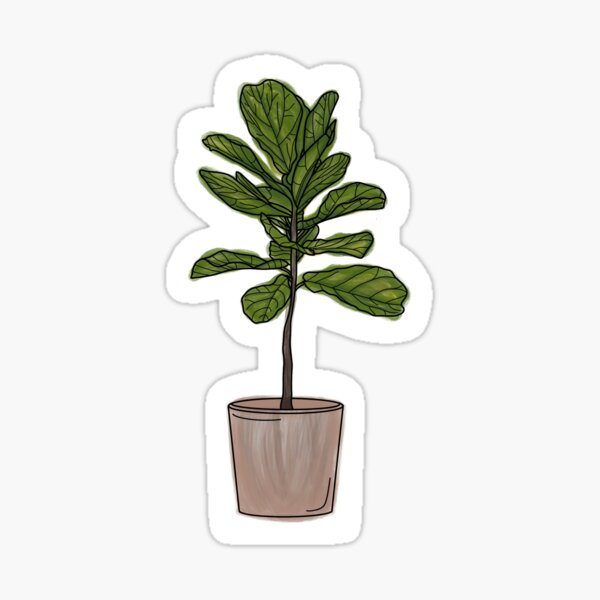 Item preview, Watercolor fiddle fig tree designed and sold by laurhog.