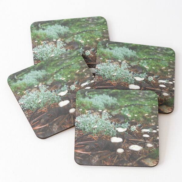 Item preview, Mini Mushrooms designed and sold by Octava.