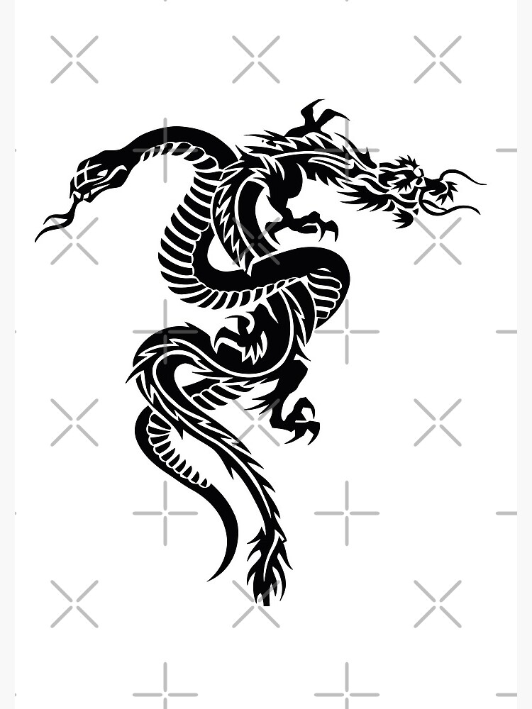 Amazon.com : SanerLian Snake Dragon Temporary Tattoo Sticker Waterproof  School Adult Men Women Hand Arm Party Favor Set of 5 (SF3642) : Beauty &  Personal Care